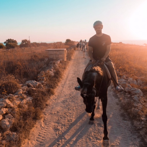 Horse Riding, Malta, Melliha, Sunset, Fun