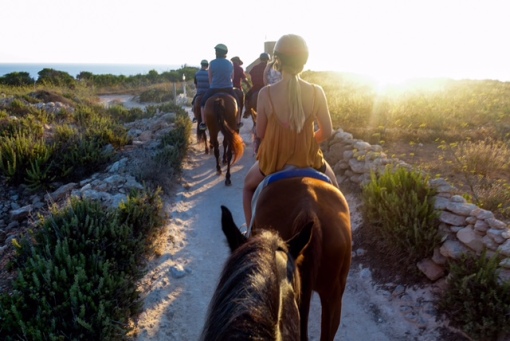 Horseback, Riding, Sunset, Beach