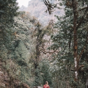 Mountain Trekking, Ghorepani, Poon Hill, Nepal, Jungle, Landscape