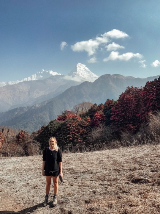 Salt and Coconuts, Mountains, Views, Nepal, Trek, Poon Hill