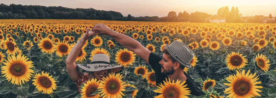 France, Limalonges, Travel, Sunflowers, Beautiful, couple, goals,
